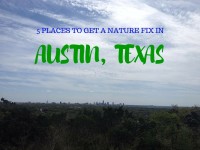 Five Places To Get A Nature Fix in Austin, Texas