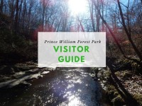 Prince William Forest Park Visitor Guide